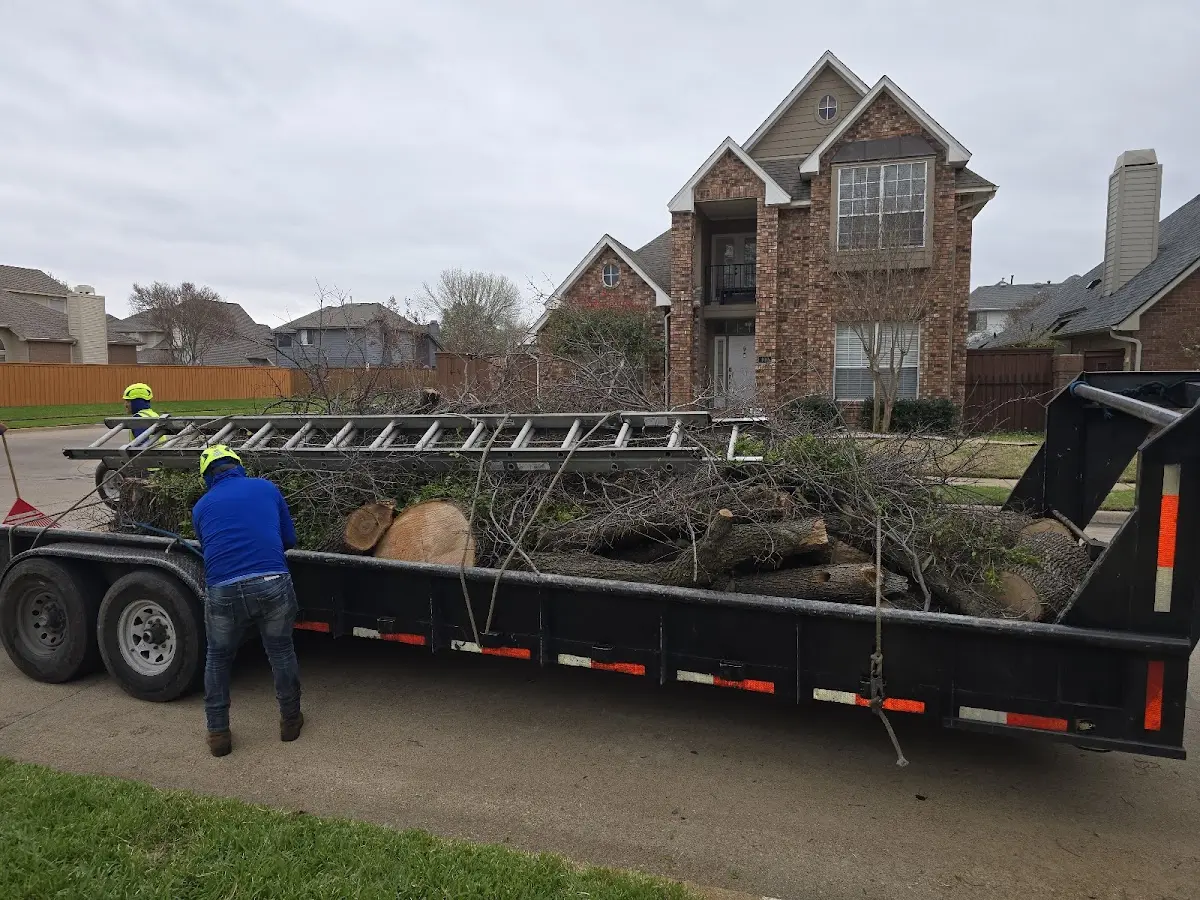 Expert Tree Fertilization with proper safety equipment in Backus